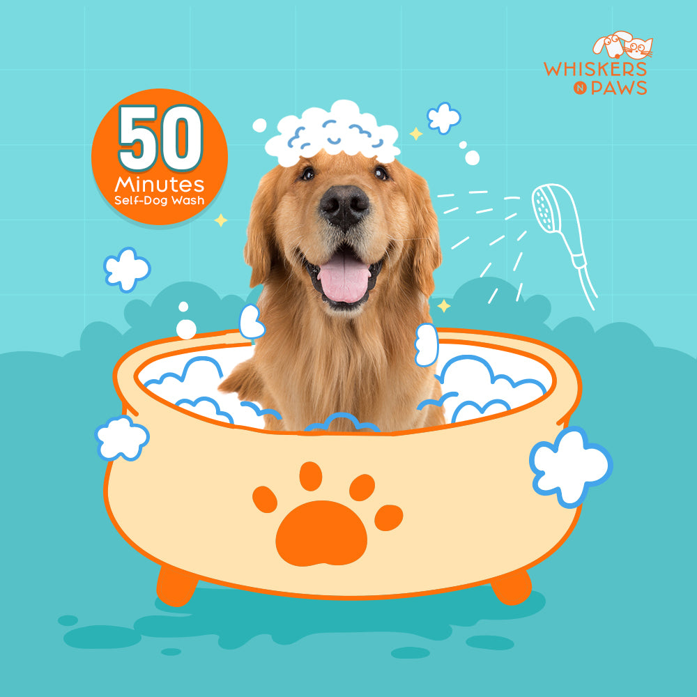 Whiskers N Paws - Self-Dog Wash - 50 Minutes