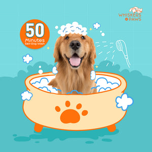 Whiskers N Paws - Self-Dog Wash - 50 Minutes