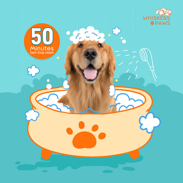 Whiskers N Paws - Self-Dog Wash - 50 Minutes