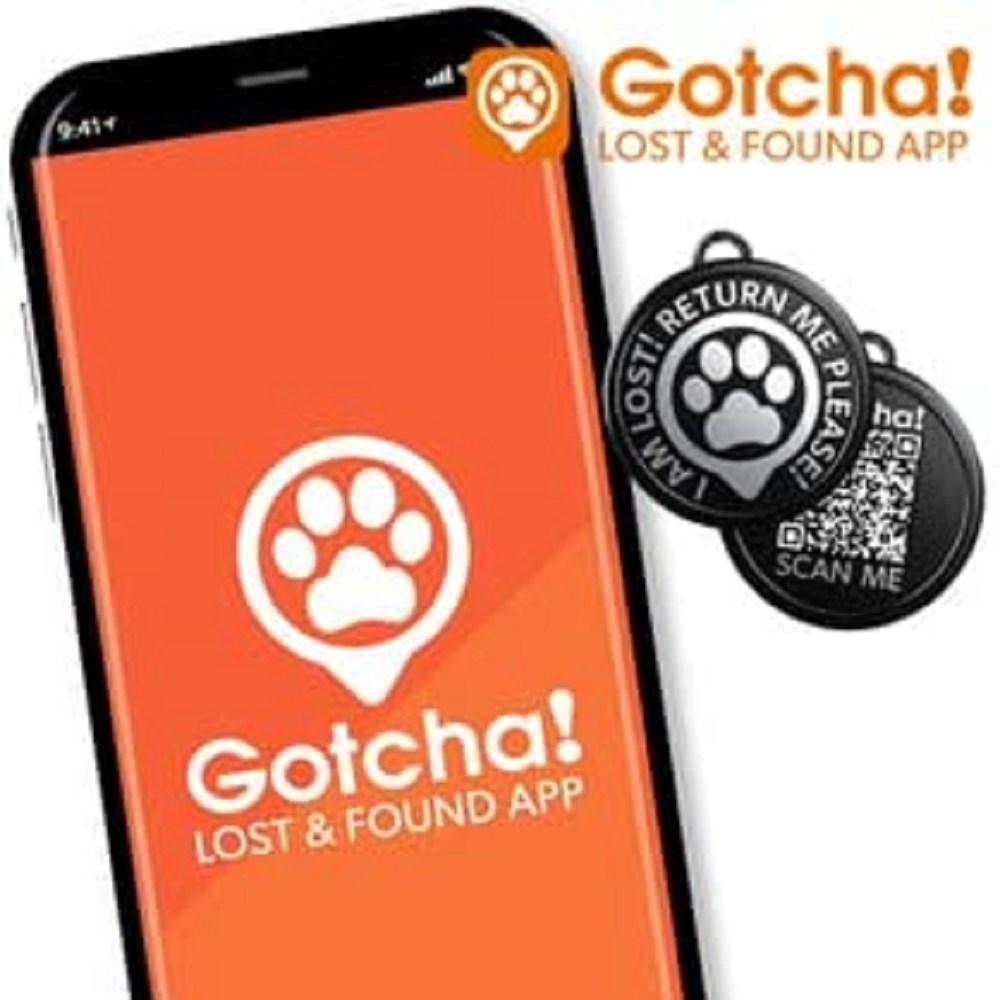 Smart Pet ID Tag for Dogs & Cats