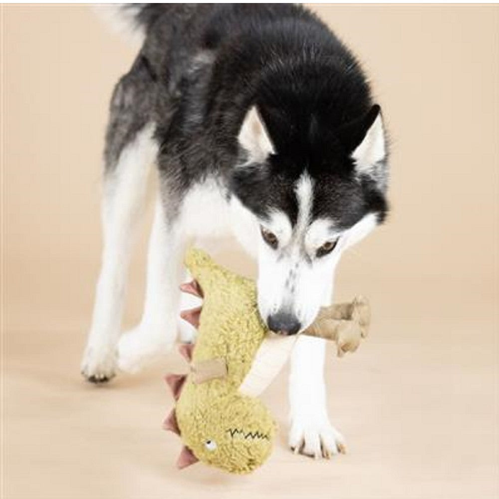 T-Rex Dog Plush Toy
