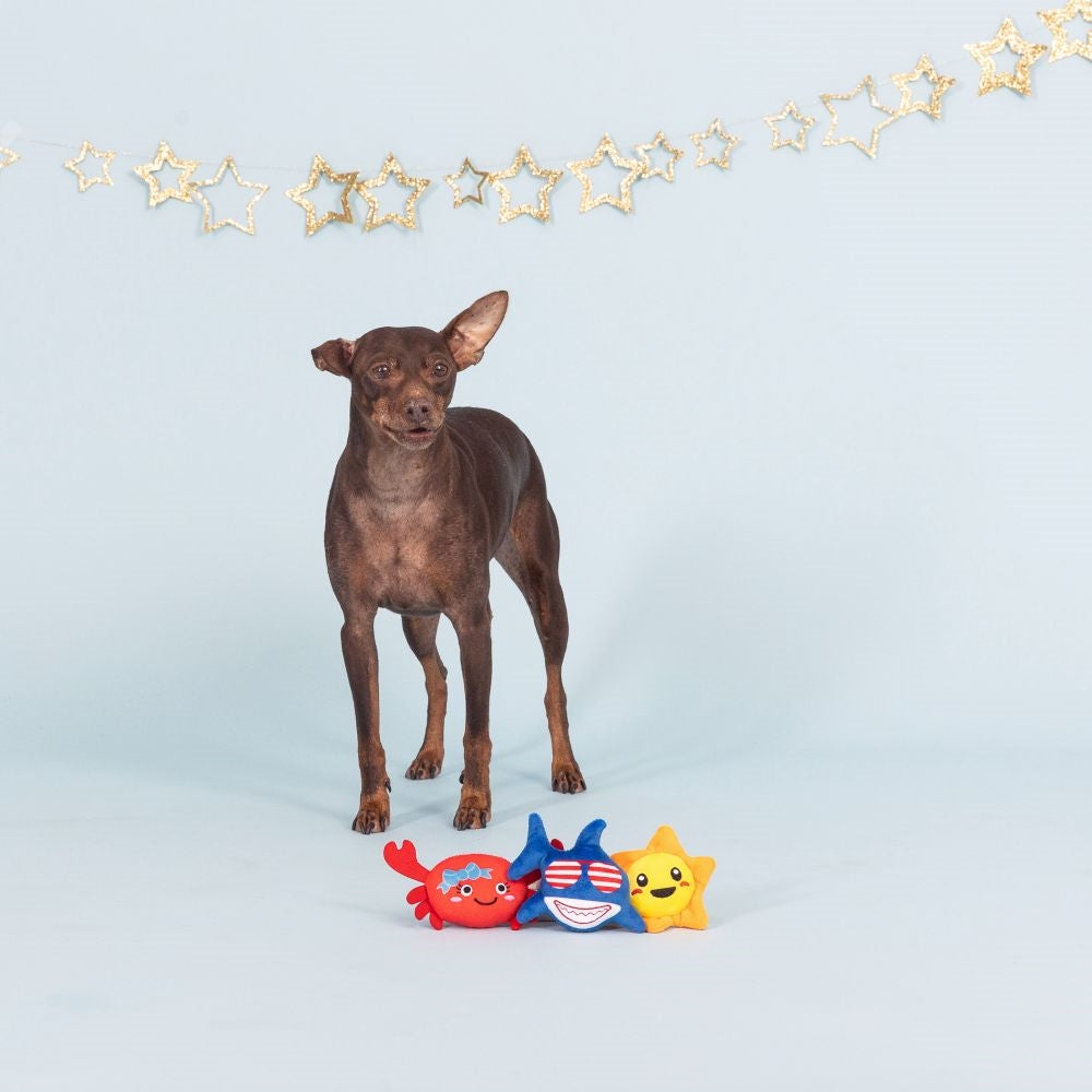 Star Spangled Summer Mini Dog Plush Toy