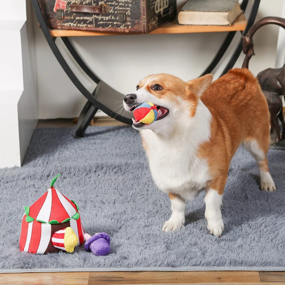 Happy Circus - Circus Dog Plush Toy