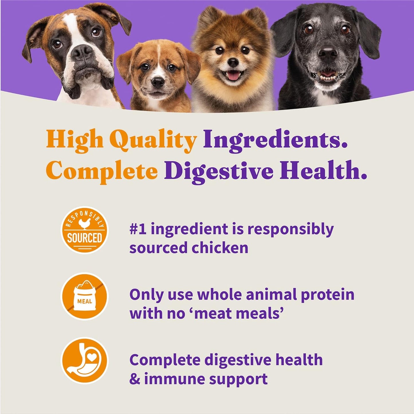 Holistic Healthy Grains Cage-Free Chicken & Brown Rice Recipe Puppy Dry Food