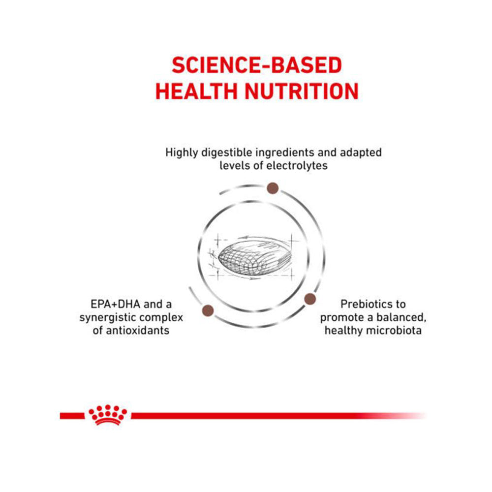 VHN G-I Low Fat Adult Dog Dry Food