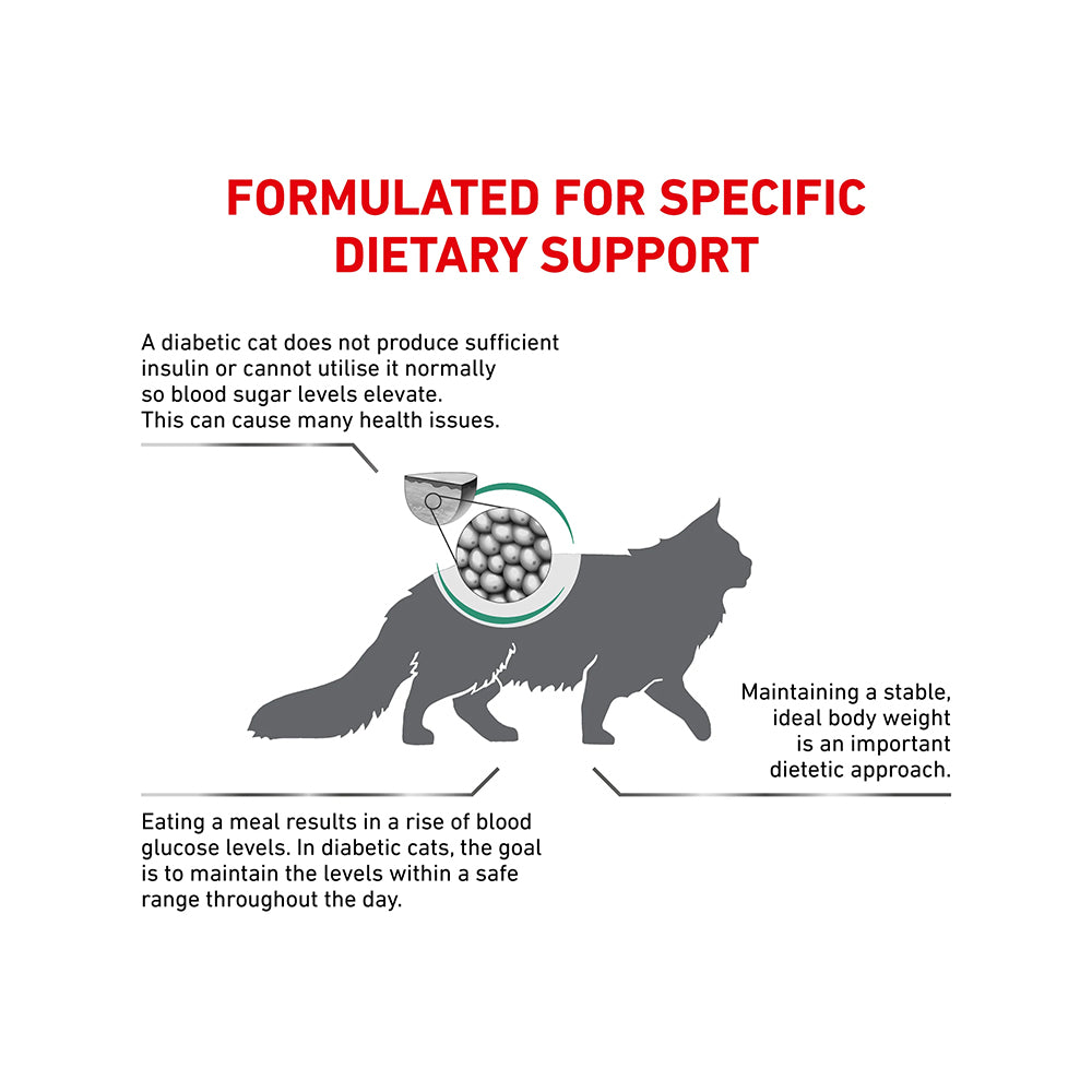 VHN Diabetic Adult Cat Dry Food