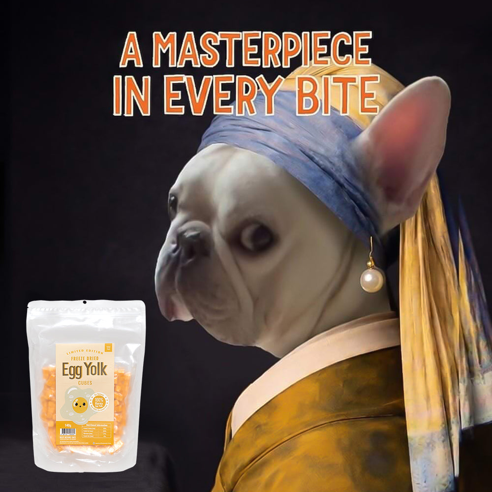 WNP Freeze Dried Egg Yolk Treats for Dogs & Cats