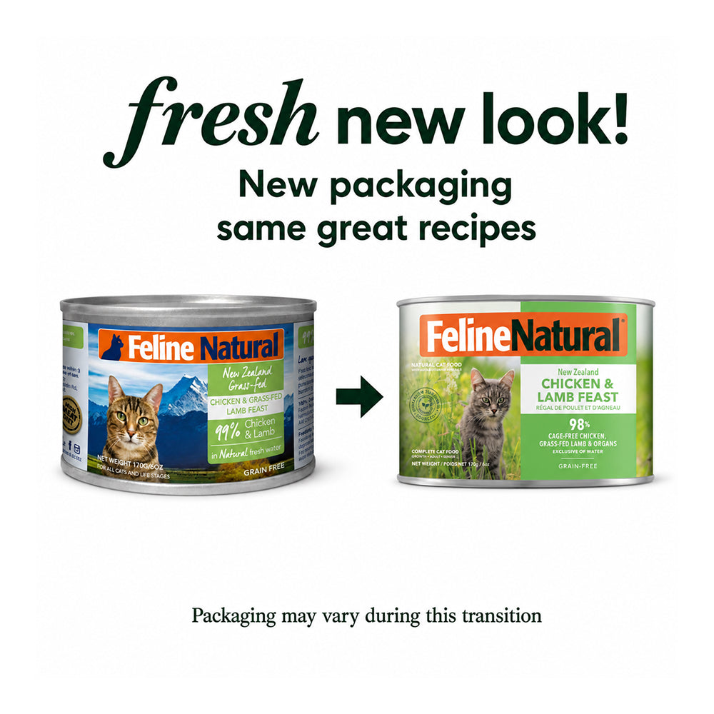 All Life Stages Chicken & Grass Fed Lamb Feast Cat Can