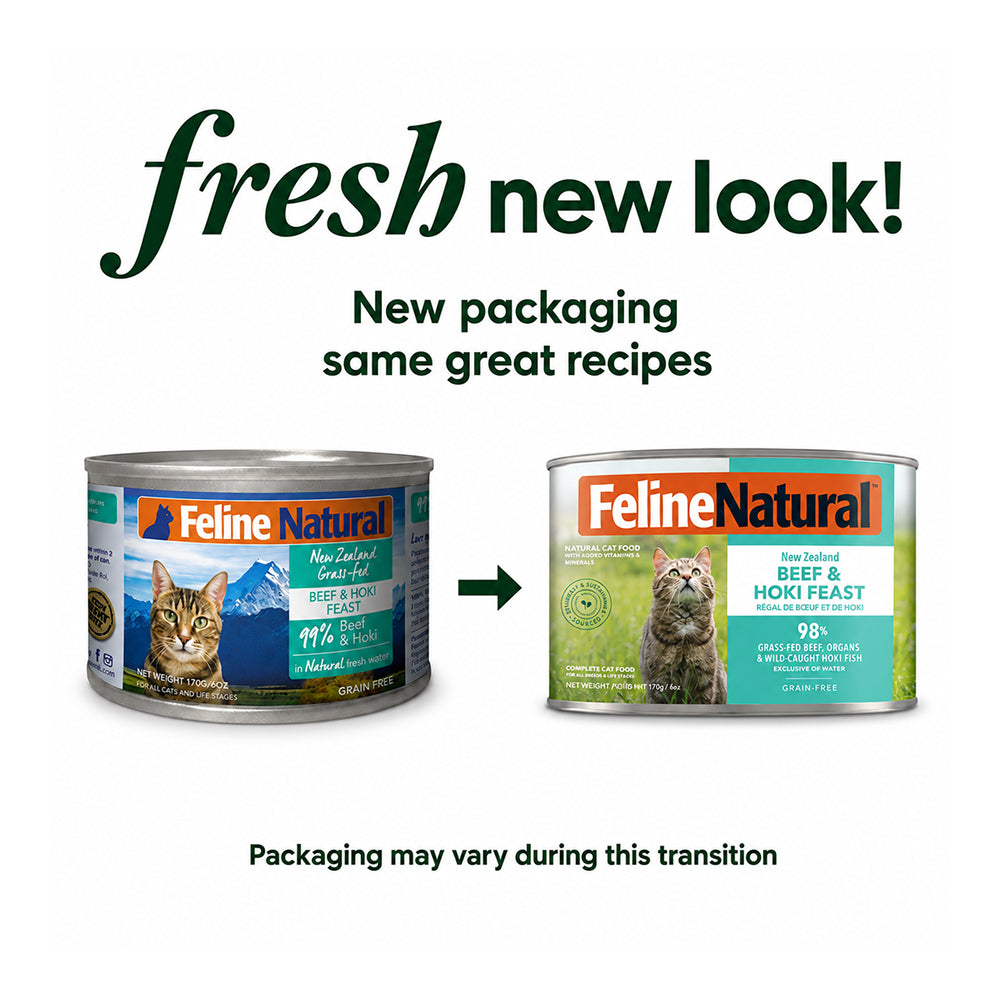 All Life Stages Hoki & Beef Feast Cat Can