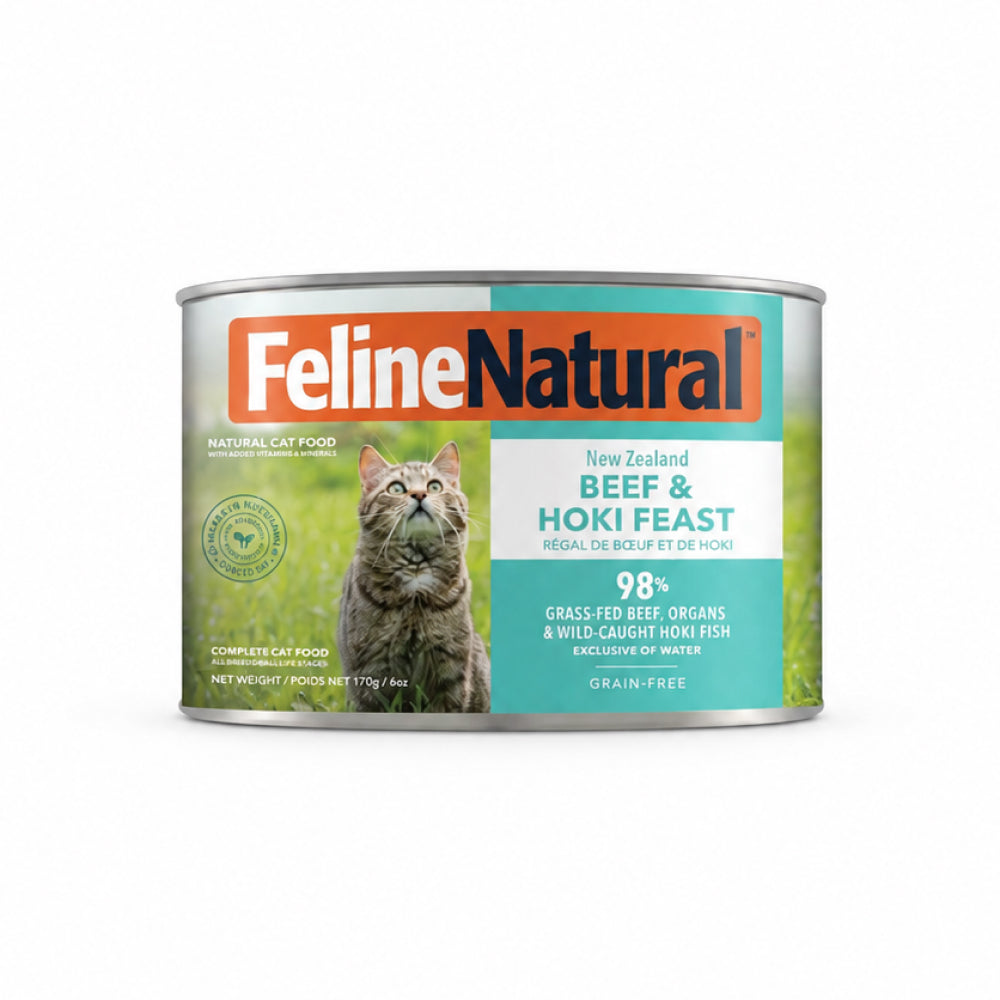 All Life Stages Hoki & Beef Feast Cat Can