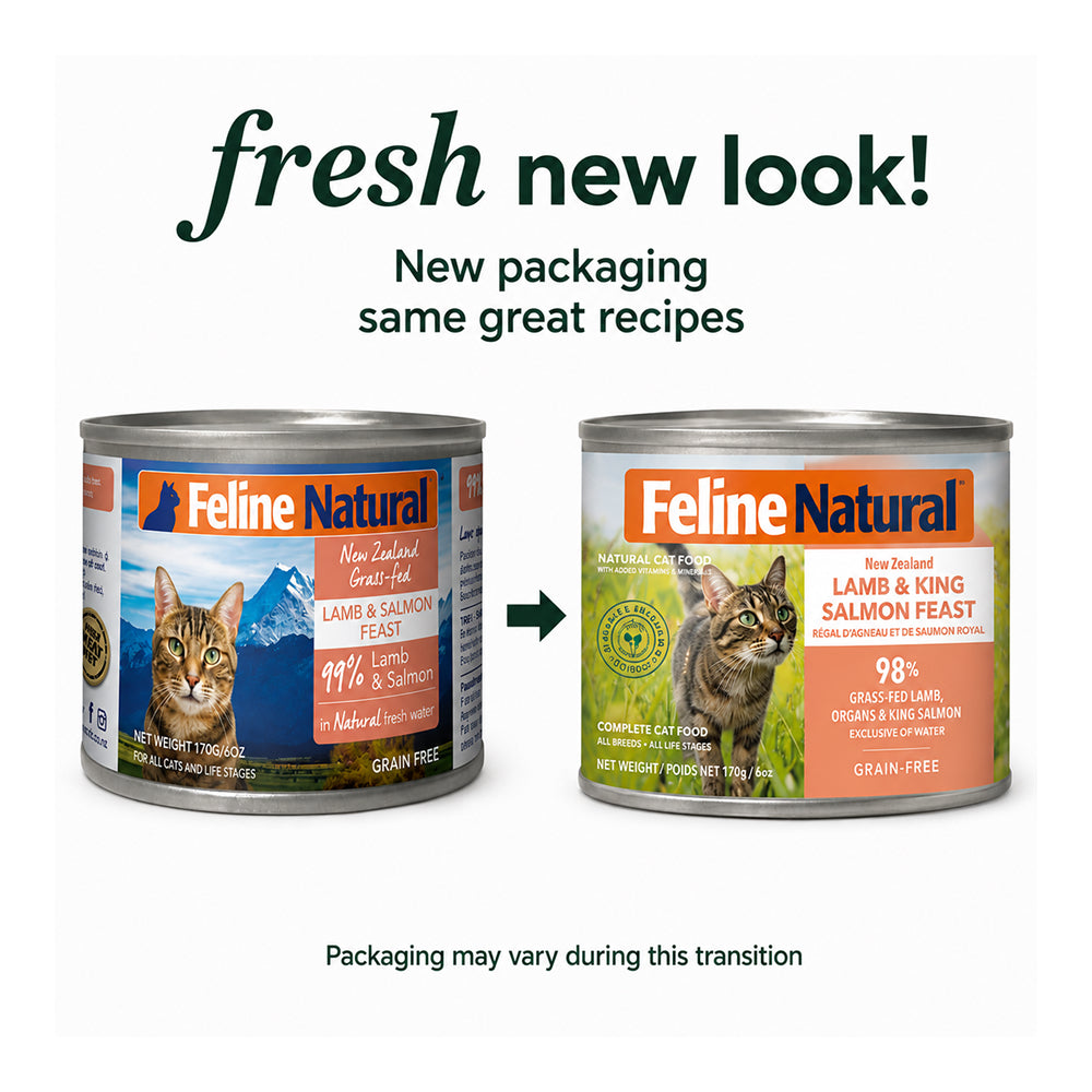 All Life Stages Lamb & Salmon Feast Cat Can