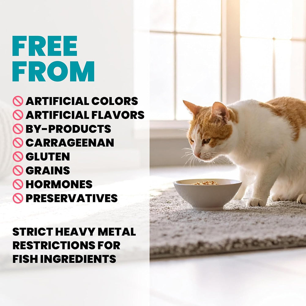 HQS Supportive Immune Support Formula -  Chicken Recipe With Blueberry In Gravy Adult Cat Food