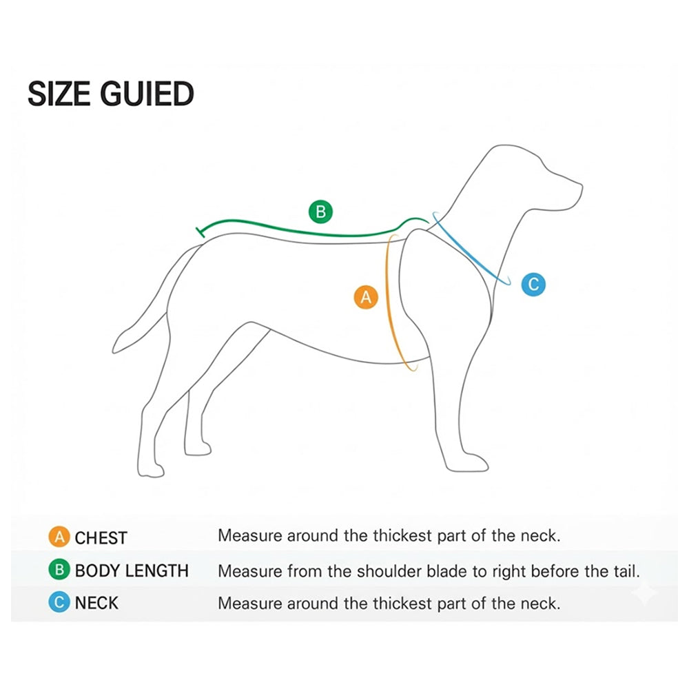 AURORA Reflect Hoodie