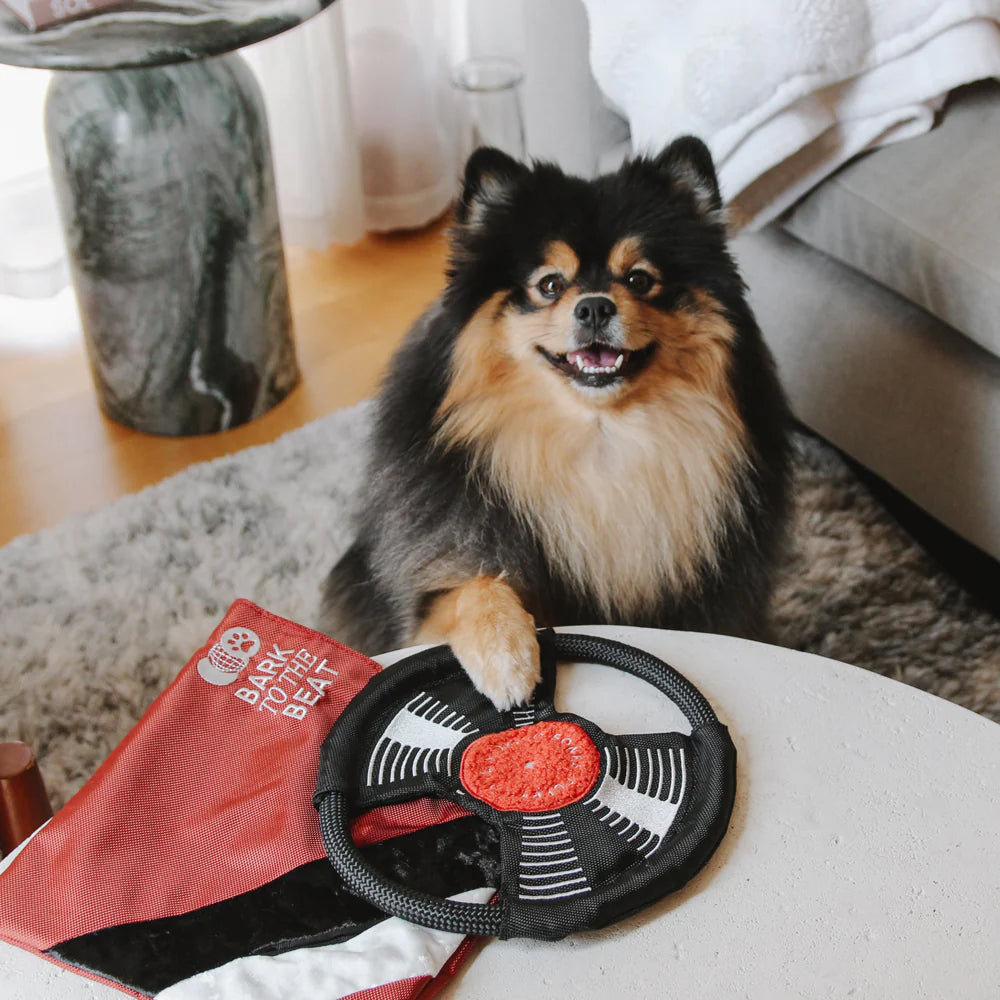 Bark To The Beat Snuffle & Squeaky Dog Toy