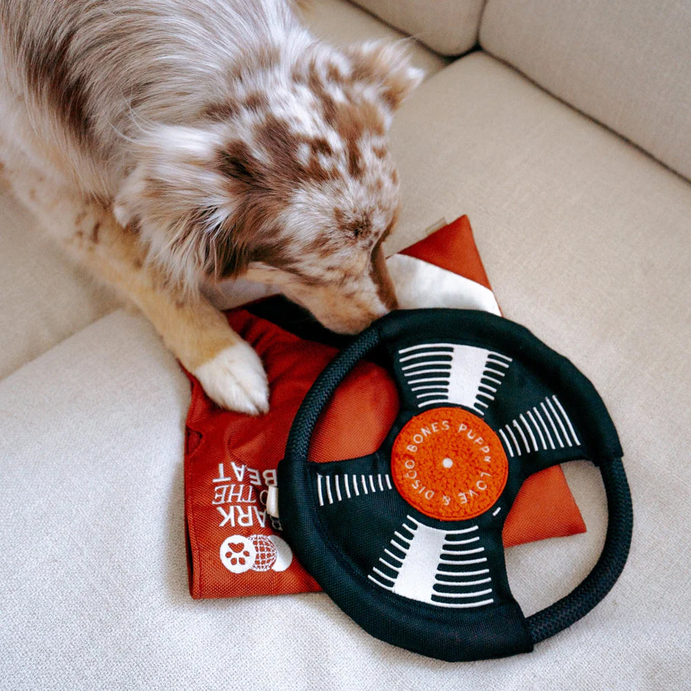 Bark To The Beat Snuffle & Squeaky Dog Toy