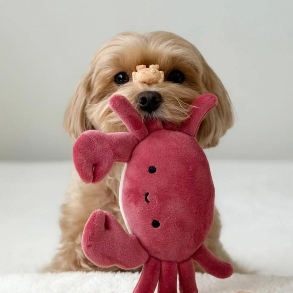 Chilli Crab Freeze Dried Treats for Dogs and Cats