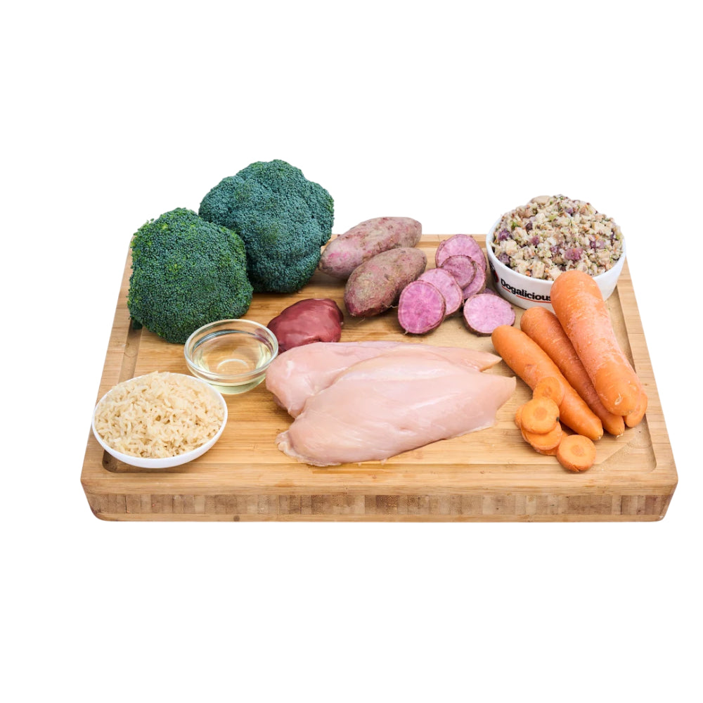 Frozen Fresh Made Low Allergy Turkey Recipe Dog Food