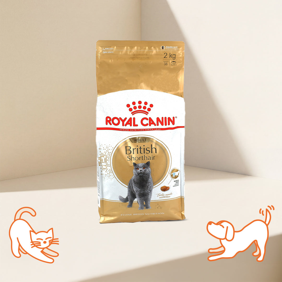 FBN British Shorthair Adult Cat Dry Food