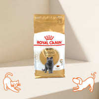 FBN British Shorthair Adult Cat Dry Food