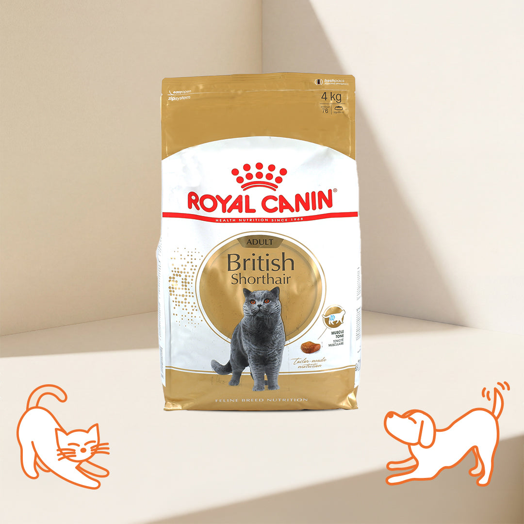 FBN British Shorthair Adult Cat Dry Food