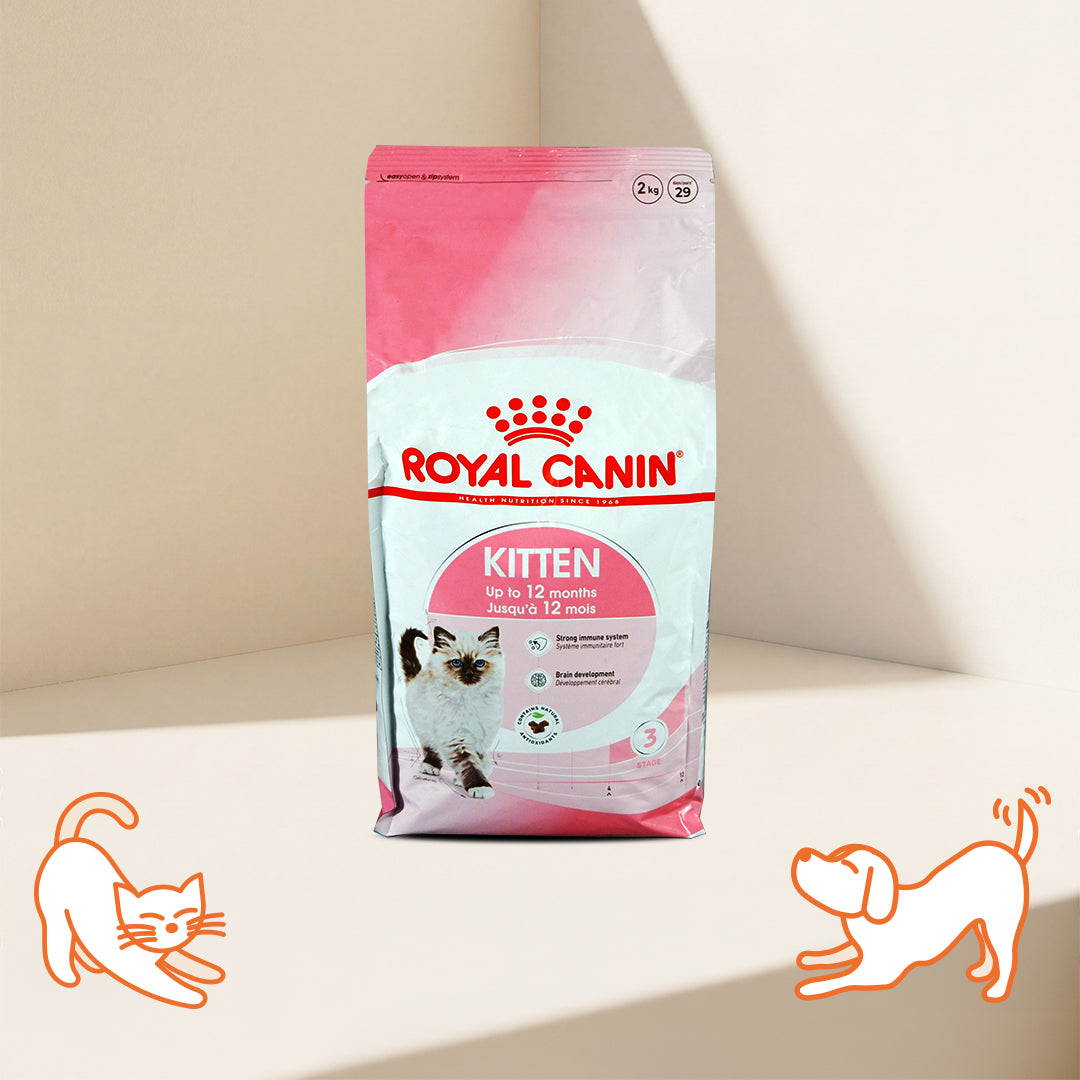 FHN Kitten for Up To 12 Months Cat Dry Food