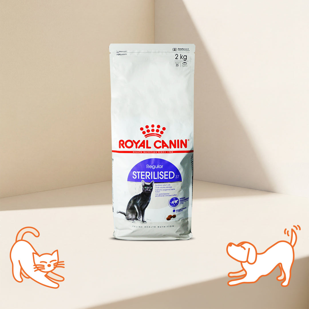 FHN Regular Sterilised for Adult Cat Dry Food