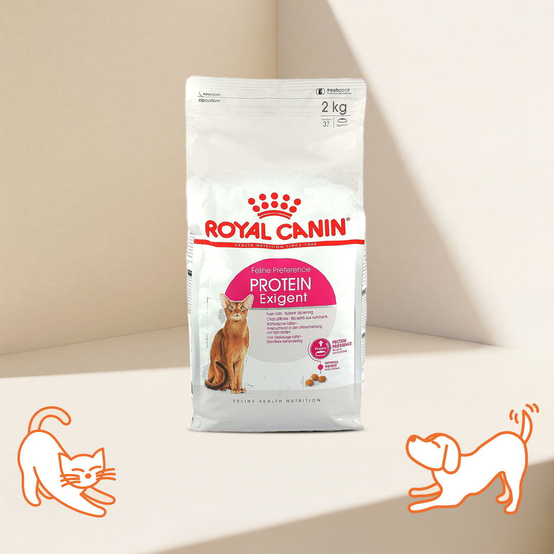 FHN Feline Preference Protein Exigent for Adult Cat Dry Food