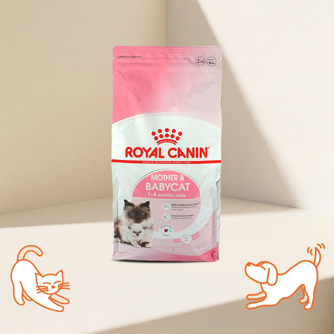 FHN First Age for Mother & Babycat 1-4 Month Cat Dry Food
