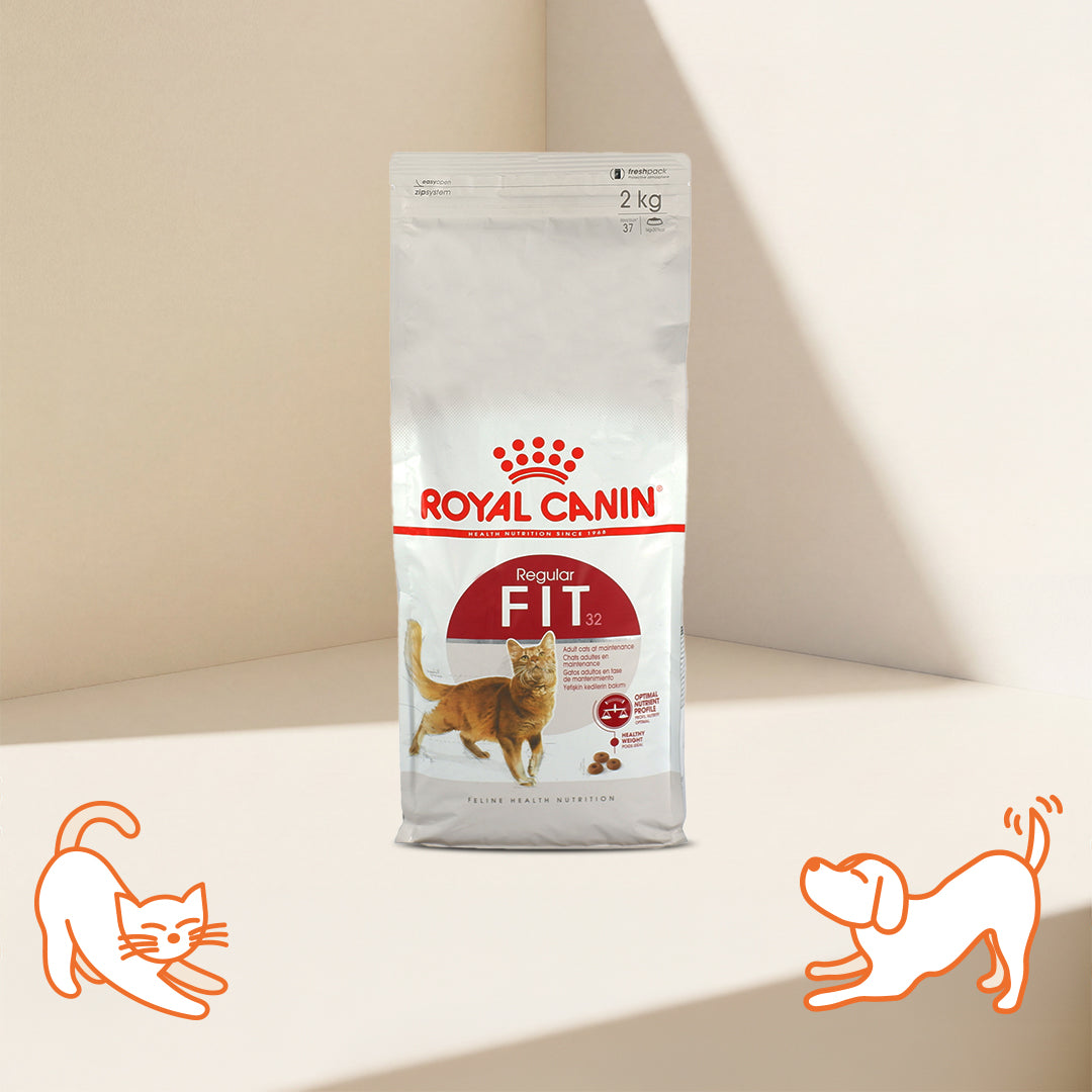 FHN Regular Fit for Adult Cat Dry Food