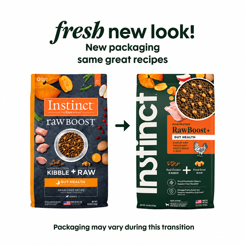 Raw Boost Gut Health Grain Free Kibble + Raw Adult Dog Dry Food - Chicken