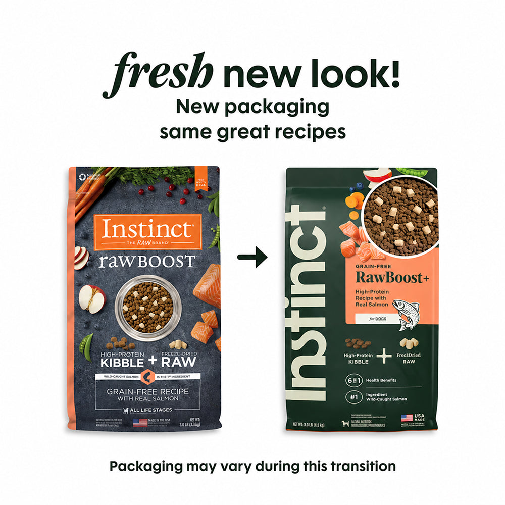 Raw Boost Grain-Free Recipe Kibble + Raw Dog Dry Food- Salmon