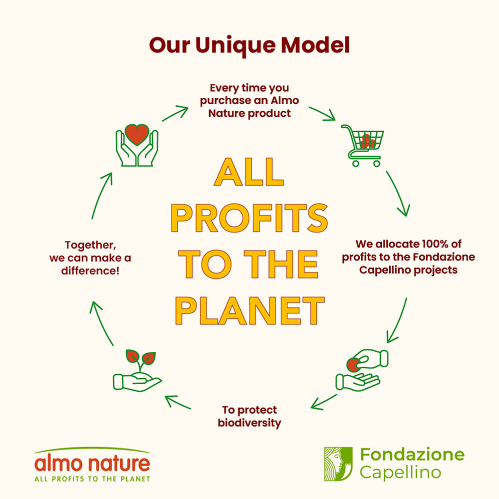 HFC Complete Free Range Chicken With Zucchini Dog Can