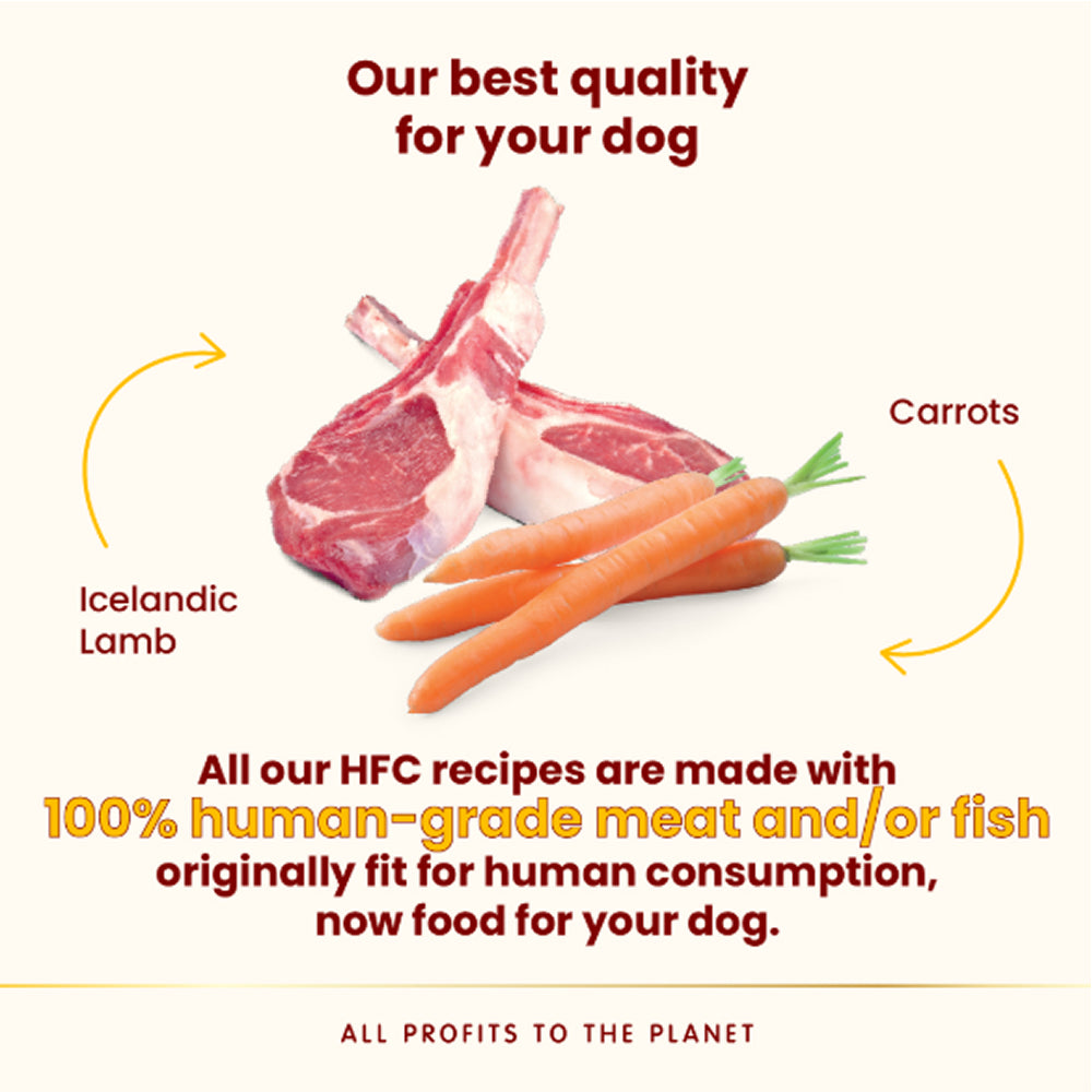 HFC Complete Icelandic Lamb With Carrots Dog Can