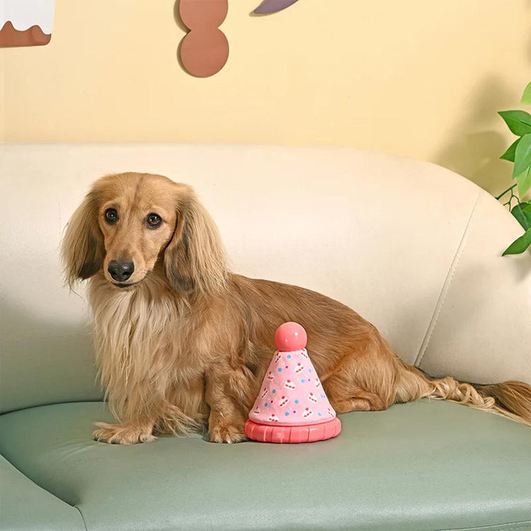 Yappy Birthday Party Hat TPR Rubber Dog Toy