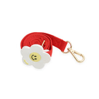 Ice Popping Leash for Dogs & Cats