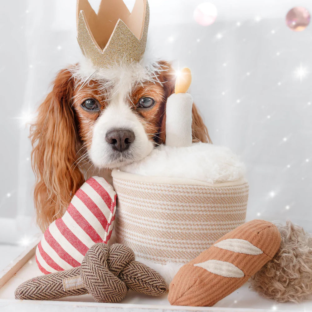 Birthday Burrow & Snuffle Dog Toy