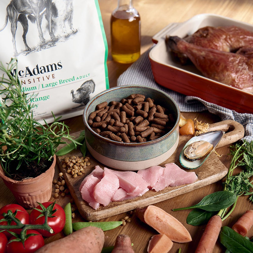 Stunning Grain Free Turkey And Egg Dog Food For Sensitive Mast Cell Dogs image
