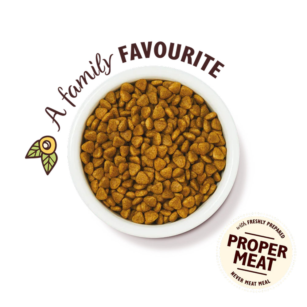 Chicken Casserole Cat Dry Food