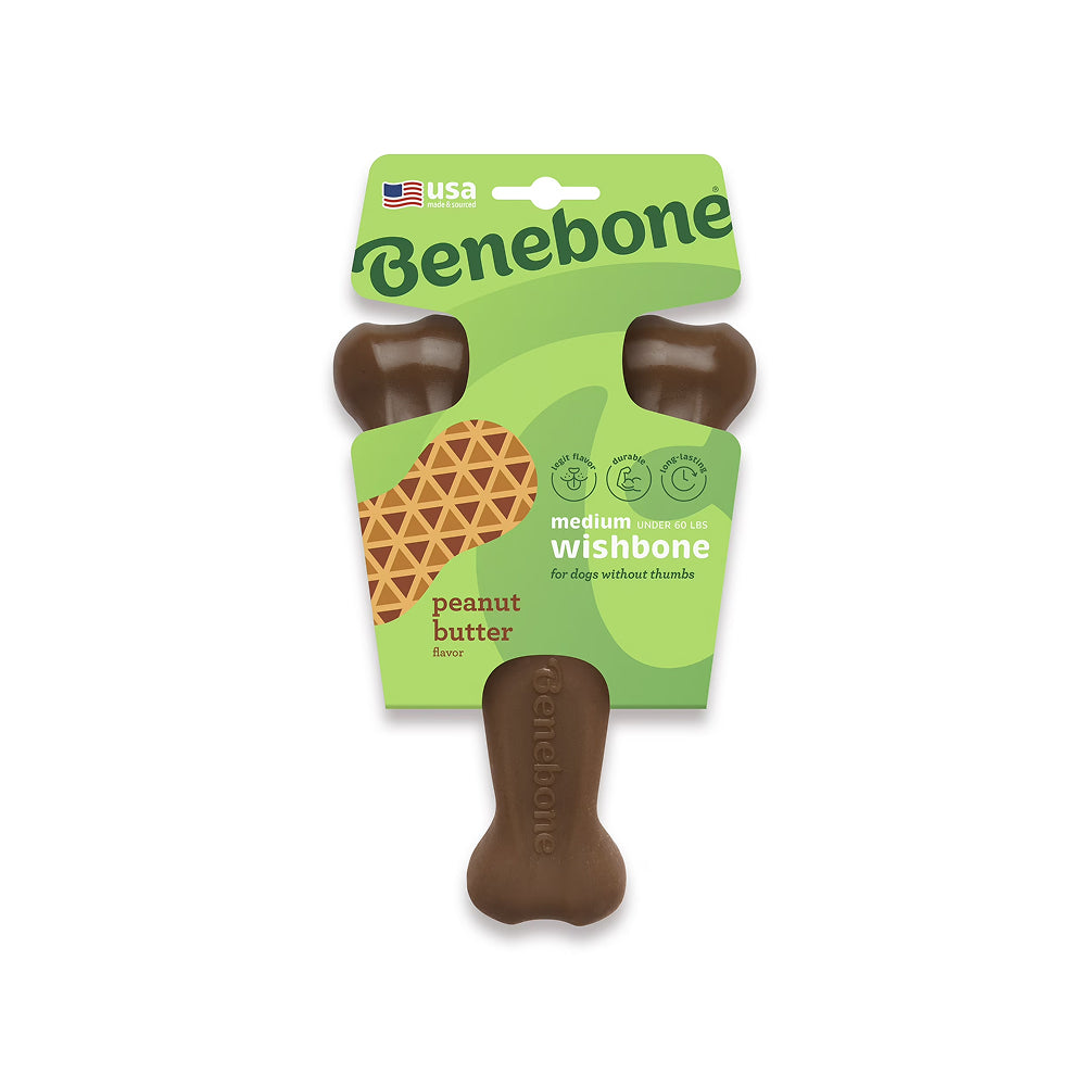Wishbone Peanut Butter Chew Dog Chew Toy