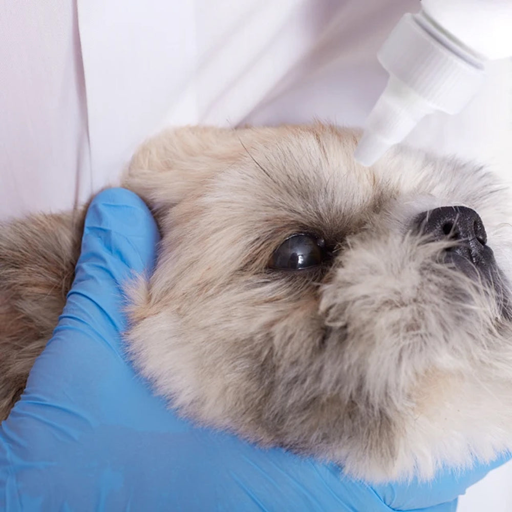Ophthalmic Gel for Dogs & Cats