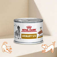 VHN Urinary S/O Dog Can