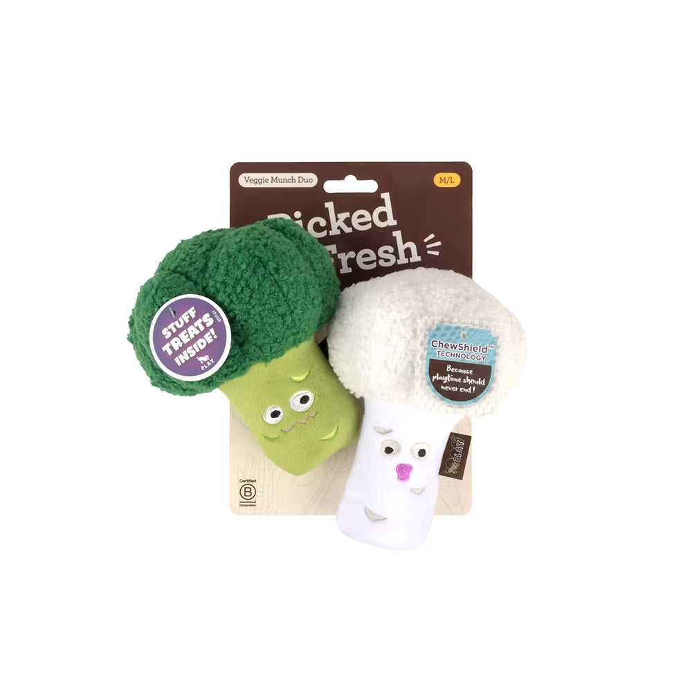 Picked Fresh Veggie Munch Duo