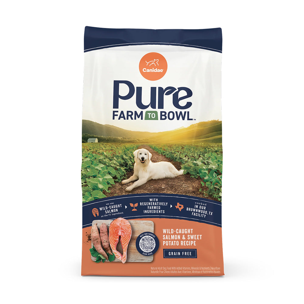 PURE Grain Free Dog Dry Food - Salmon & Sweet Potato