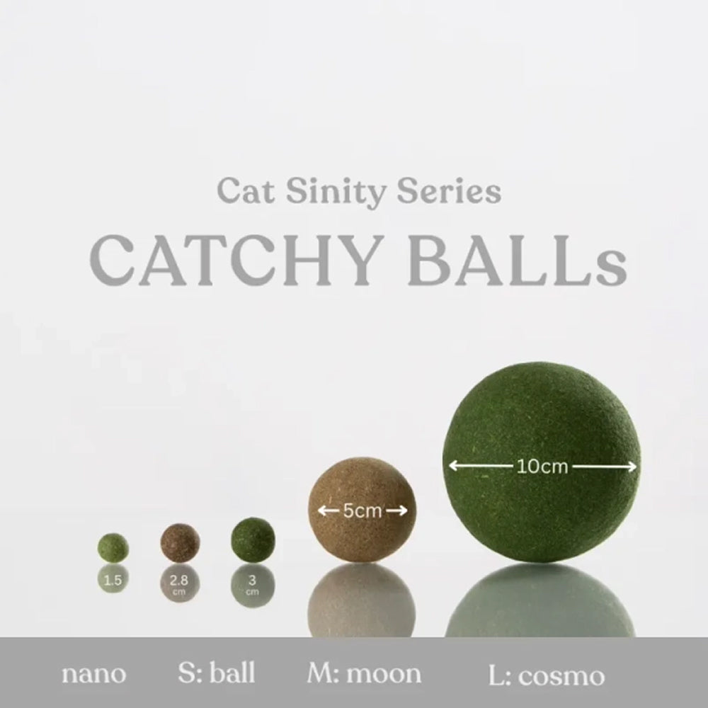 Catchy Catnip Ball Cat Toy