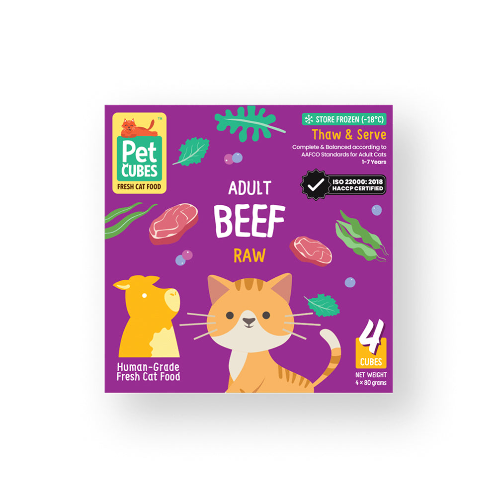 Raw Frozen Fresh Human-Grade Beef Adult Cat Food