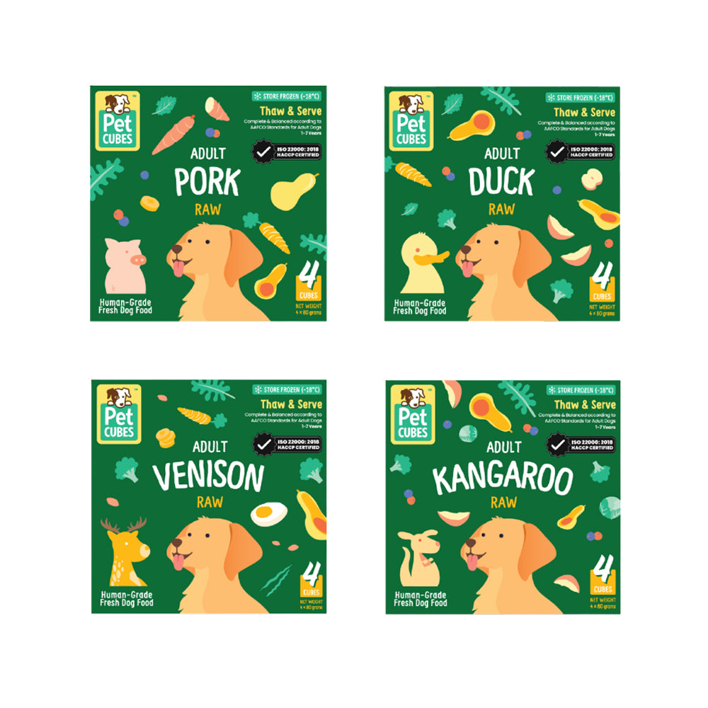 Raw Frozen Fresh Human-Grade Boxset Variety Adult Dog Food 2