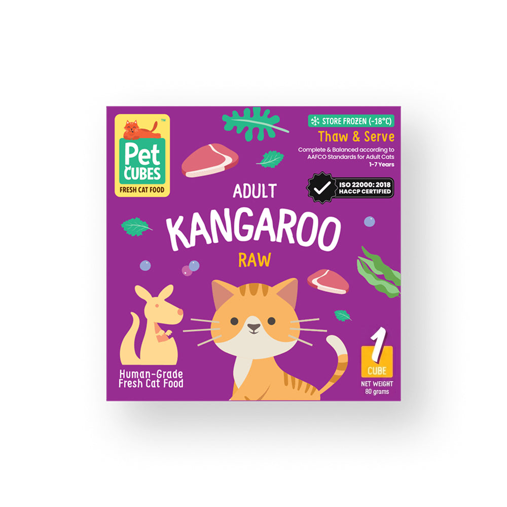 Raw Frozen Fresh Human-Grade Novel Pawty Pack Adult Cat Food