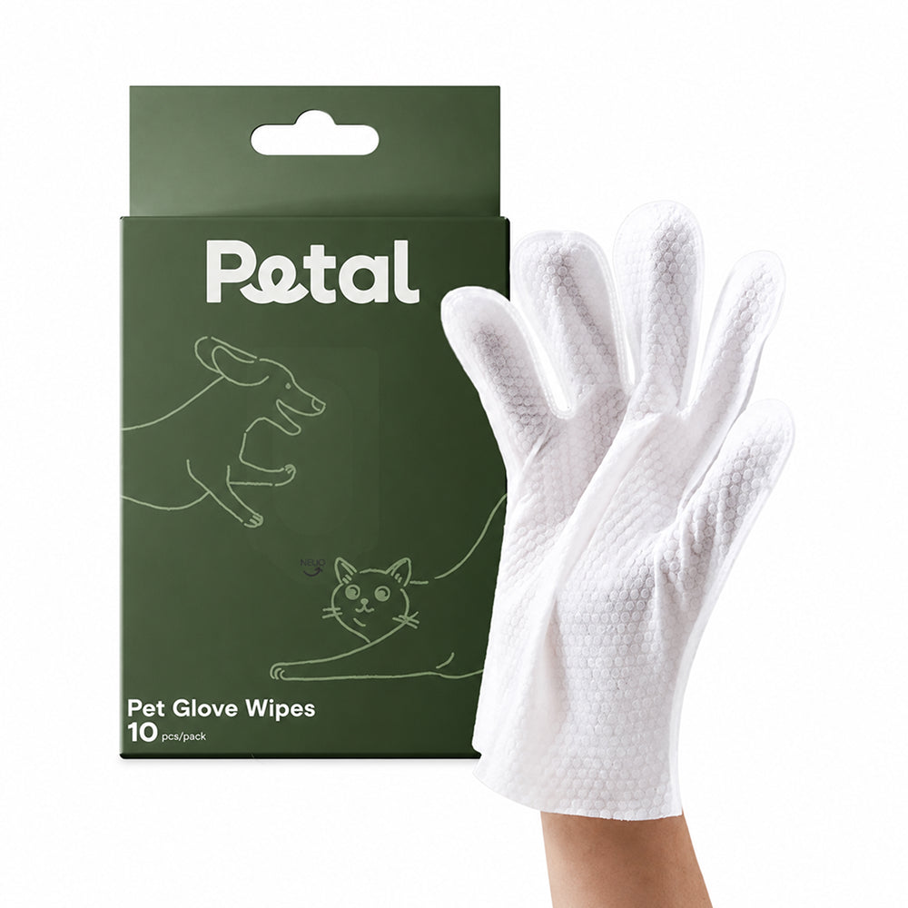 Conditioning & Sanitizing Gloves - Green Tea