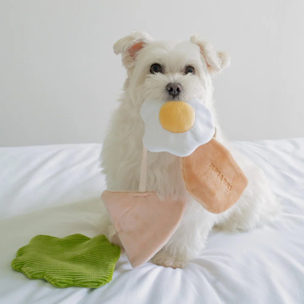 Pita Pocket Nosework Dog Plush Toy