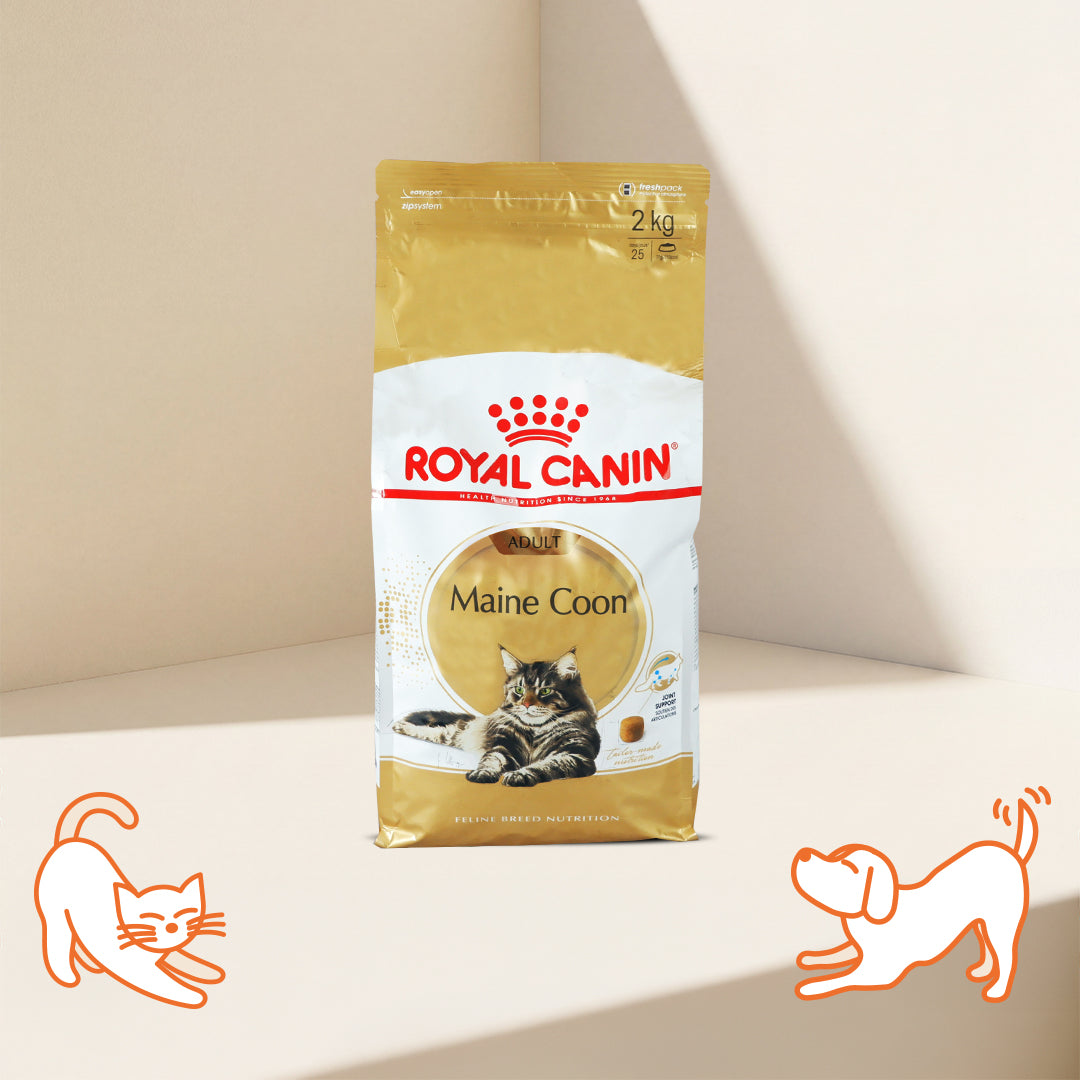 FBN Maine Coon Adult Cat Dry Food
